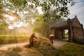 Bà Tôi - Xuân Bắc, Công Lý, Tự Long, Quang Thắng