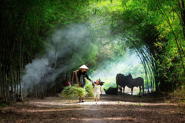 Bà Tôi - Xuân Bắc, Công Lý, Tự Long, Quang Thắng