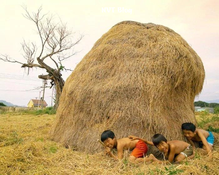 Childhood Memory - Bandari | Ký Ức Tuổi Thơ