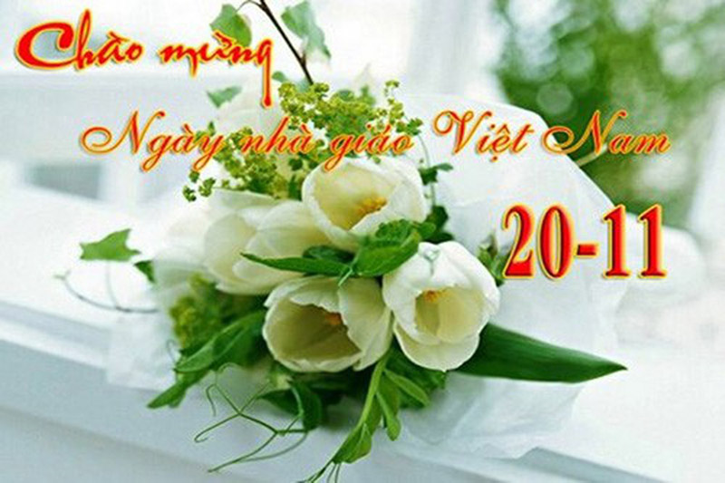 Hình Ảnh Đẹp Ngày 20-11