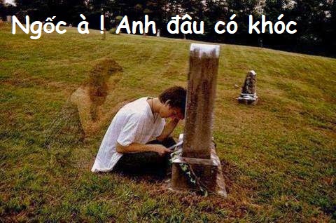 NGỐC À ! ANH ĐÂU CÓ KHÓC