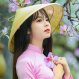 Gặp Nhau Giữa Rừng Mơ (Điệp Khúc) - Ưng Linh