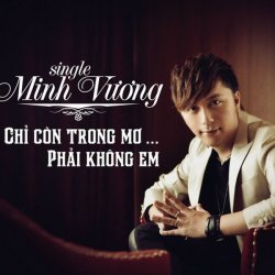 Chỉ Còn Trong Mơ - Minh Vương M4u