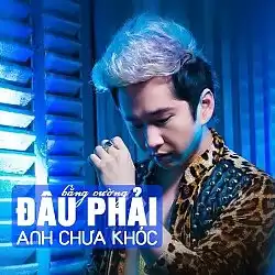 Đâu Phải Anh Chưa Khóc - Bằng Cường