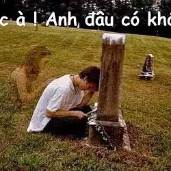 NGỐC À ! ANH ĐÂU CÓ KHÓC